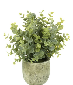 Small potted faux eucalyptus