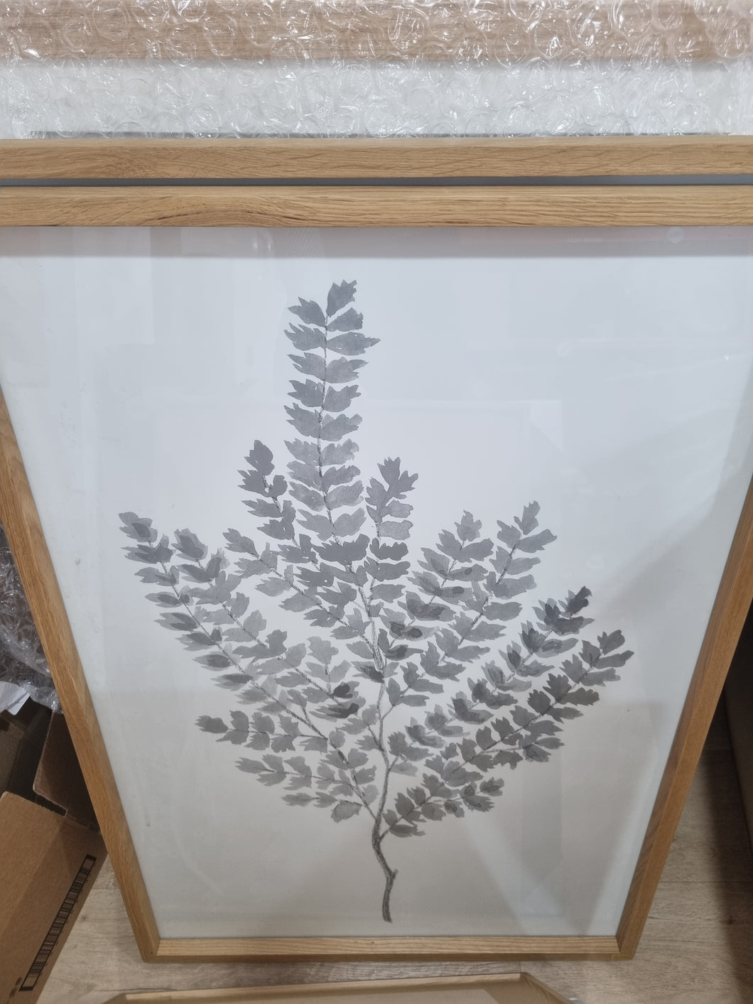 Ivy framed prints