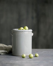 Load image into Gallery viewer, Light grey handled planter