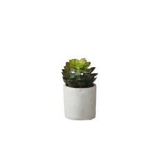 Load image into Gallery viewer, Green mini succulent in pot
