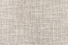 Load image into Gallery viewer, Lizard 50x50
