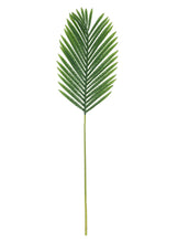 Load image into Gallery viewer, Green palm leaf