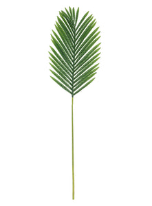 Green palm leaf