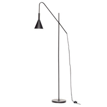 Load image into Gallery viewer, Black iron floor lamp