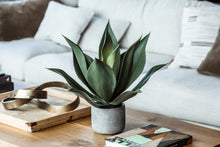 Load image into Gallery viewer, Large artificial aloe vera in clay pot