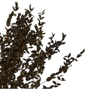 Green dried flowers