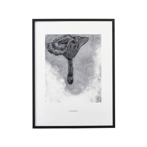 'Chanterelle' framed