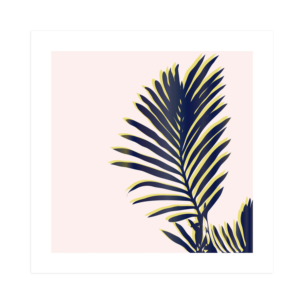 'Palm Study 2' by Cindy Lackey 60x60