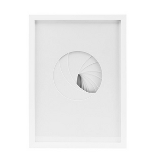 'Relief' framed art 30x42
