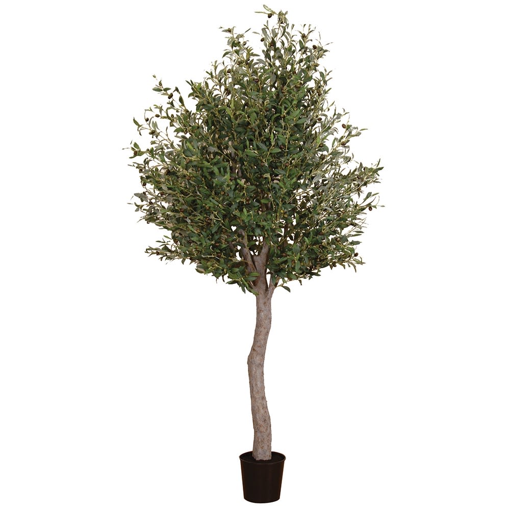 Artificial giant olive tree in pot