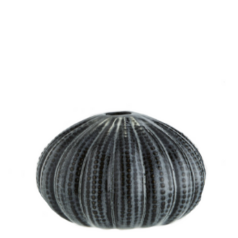 Sea urchin vase