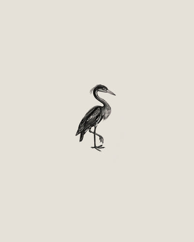 'Heron' by Sam Scales