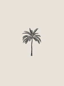'Palm' by Sam Scales
