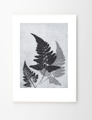 Fern blue/grey limited addition by Pernille Folcarelli