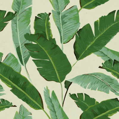 'Banana' tropical wallpaper
