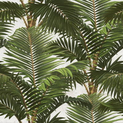 'Jardin' tropical wallpaper