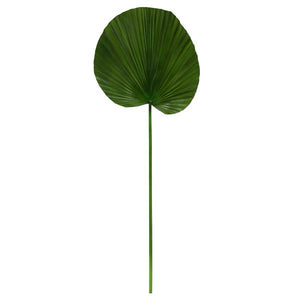 Palm leaf