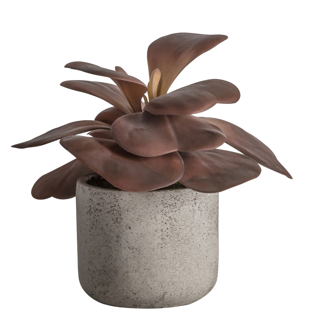 Artificial kalanchoe damson plant