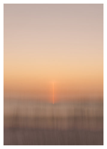 'Coexistence' by Sam Scales