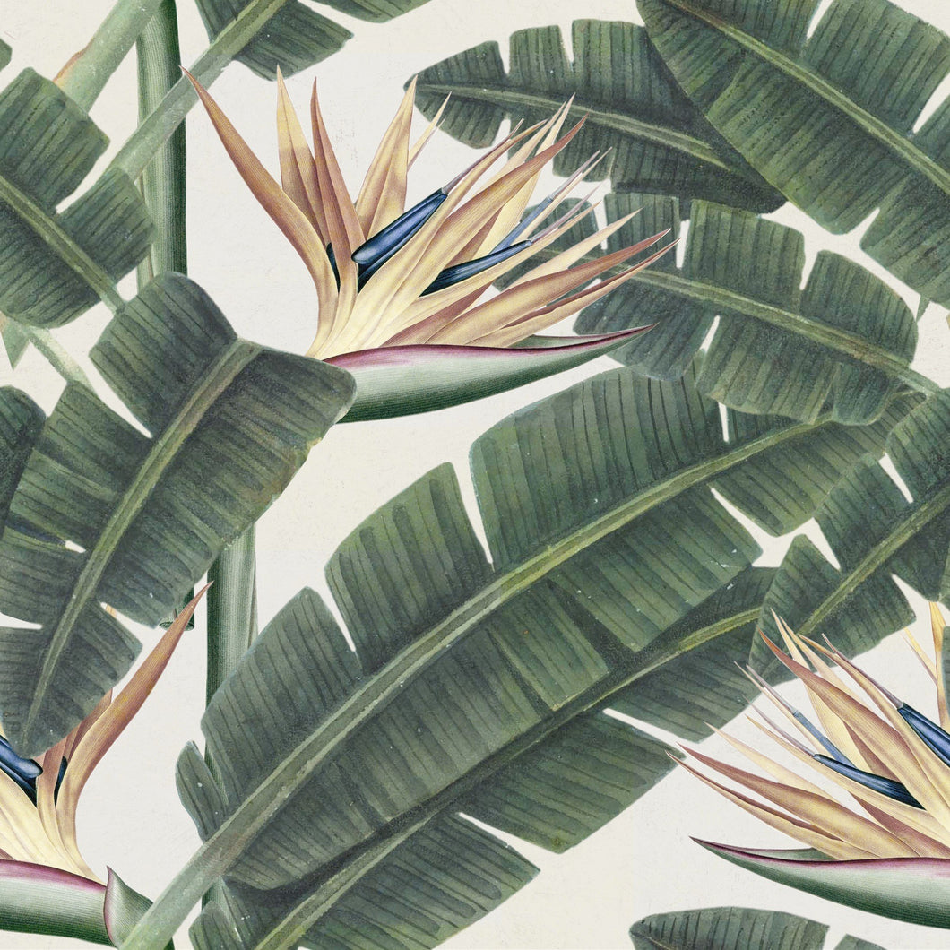 'Tropical fruit' wallpaper